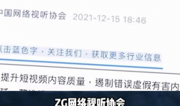 短视频审核,确保网络环境的清朗与和谐